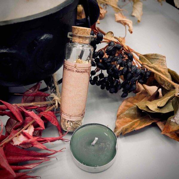 Kit amulette élément Terre