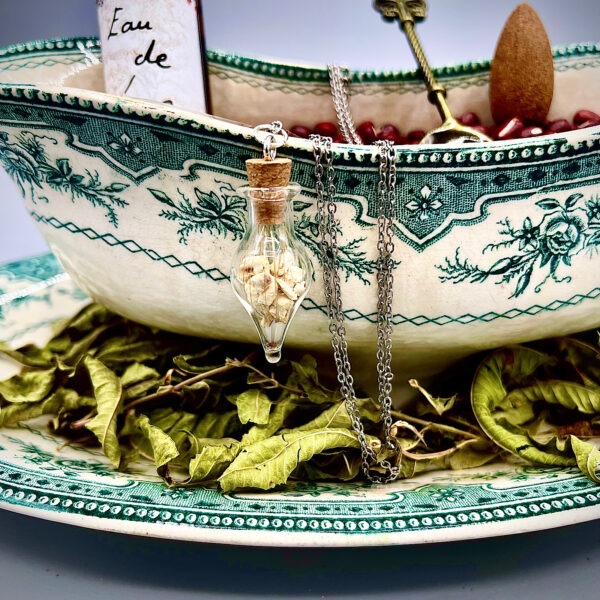 Saucière de Sorcière à Bébé – Image 6